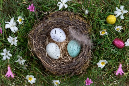 Foto de Huevos de Pascua en un nido de aves que anidan en hierba verde fresca con narcisos amarillos y margaritas sobre un fondo exterior borroso con espacio para copiar - Imagen libre de derechos