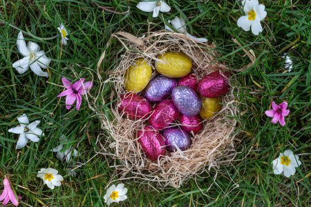 Photo for Easter Eggs in a bird nest nestling in fresh green grass with yellow daffodils and daisies outdoor background - Royalty Free Image