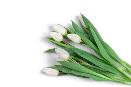 Photo for White spring tulips on painted wooden Flat lay. Copy space. Spring and Easter concept - Royalty Free Image