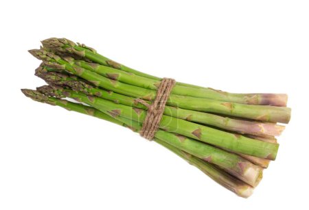 Photo for Close-up of a fresh raw asparagus bunch tied with a burlap twine isolated PNG file with transparent background. - Royalty Free Image