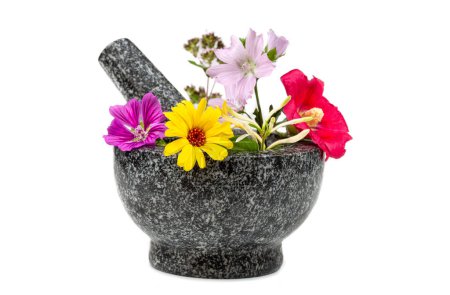 Foto de Mortero con, flores de manzanilla, trébol, orégano, mignonette, elecampane aislado sobre fondo blanco - Imagen libre de derechos