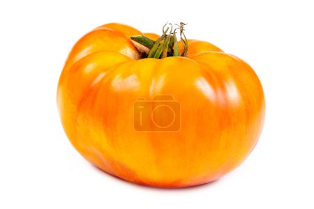 Foto de Tomates enteros amarillos y naranjas sobre fondo blanco - Imagen libre de derechos