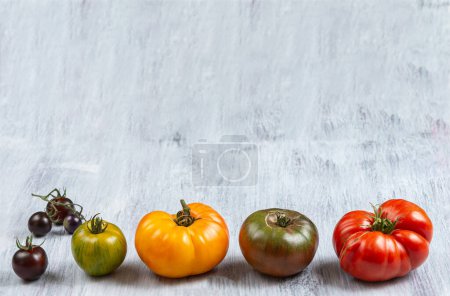 Foto de Línea fresca de reliquia y tomates de herencia de la parcela de jardín. Tomates multicolores, rojos, verdes, negros, morados, naranjas y amarillos - Imagen libre de derechos