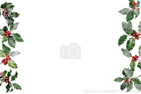 Foto de La vegetación de invierno de Navidad y el fondo abstracto de baya de acebo bordean el blanco. elemento para tarjeta de felicitación, etiqueta de regalo, etiqueta, menú, invitación. - Imagen libre de derechos