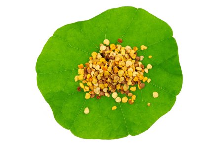 Photo for Macro shot of bee pollen on green nasturtium leaf white background. Raw brown, yellow, orange and blue flower pollen. - Royalty Free Image