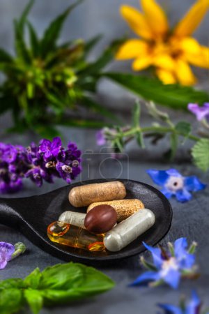Photo for Holistic medicine approach. Healthy food eating, dietary supplements, healing herbs and flowers. - Royalty Free Image