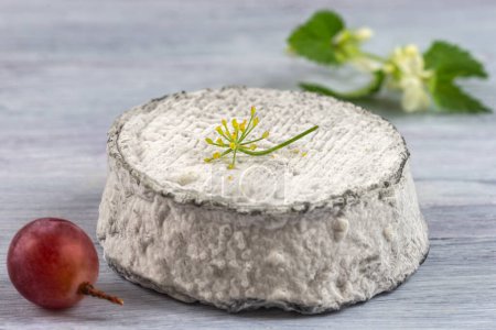 Photo for Single piece of French ash coated goats cheese c - Royalty Free Image