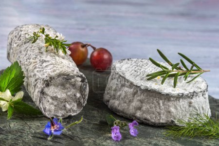 Photo for Piece of French ash coated goats cheese on wooden bacgrond - Royalty Free Image