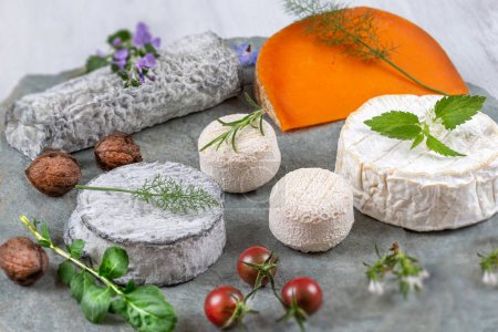 Foto de Selección de diferentes tipos de queso. Queso sabroso y fresco - Imagen libre de derechos