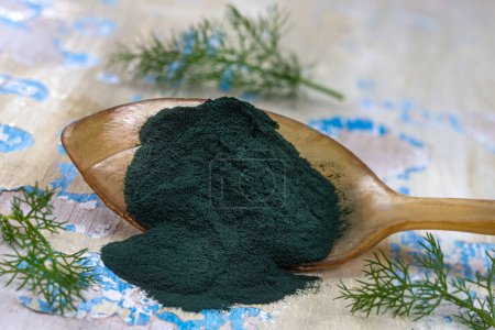 Photo for Organic green spirulina powder background. Super foods, food supplement source of vitamin protein and beta carotene. - Royalty Free Image