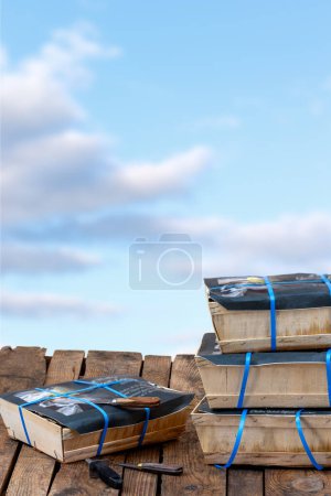 Photo for Fresh Oysters Packed in Transport Box Seafood- - Royalty Free Image