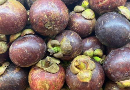 Téléchargez les photos : Fruit à la peau violette avec des feuilles vertes sur le mangoustan ou le buah manggis en Indonésie. Fruit unique en forme. Délicieux, sucré et sain pile de fruits sur la photographie traditionnelle du marché. - en image libre de droit