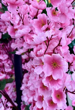 Téléchargez les photos : Belles fleurs de couleur rose fleurs de cerisier sakura imitation flore plastique intérieur plantes décoratives objet isolé sur fond de rapport vertical. - en image libre de droit