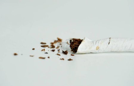 Filtro de cigarrillos objeto con fragmentos de tabaco aislados en relación horizontal fotografía de fondo blanco.