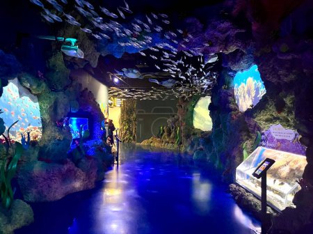 Téléchargez les photos : Jakarta, Indonésie - 18 mai 2024 - Jakarta aquarium safari aquarium zoo intérieur promenade entrée commencer aquariums environnement arrière-plan. - en image libre de droit