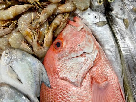 Les poissons crus dans la table de stalle du marché aux poissons sont isolés sur un fond de rapport horizontal. Poisson vivaneau rouge ou merah ikan kakap, crevettes fraîches.