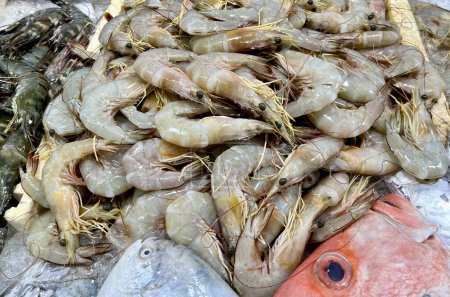 Crevettes crues sur les glaces isolées sur le fond d'affichage horizontal du marché aux poissons.