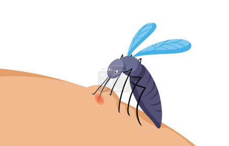 Illustration for Mosquito biting and drinking blood from skin vector illustration isolated on horizontal white background. Simple flat cartoon art styled full colored drawing. - Royalty Free Image