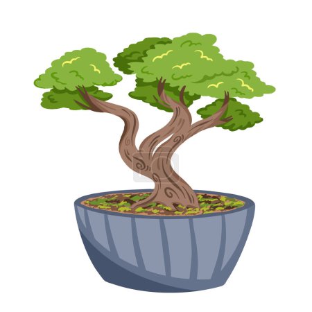 Illustration for Bonsai tree plant inside gray pot vector illustration isolated on square white background. Simple flat cartoon art styled drawing. - Royalty Free Image