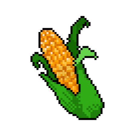 Ilustración de Vegetales de maíz crudo con hojas. Pixel bit retro juego estilo vector ilustración dibujo. Dibujo de comida plano simple estilo caricatura aislado sobre fondo cuadrado blanco. - Imagen libre de derechos
