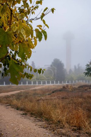 Photo for Autumn city park on a foggy morning with a water tower in the background. - Royalty Free Image