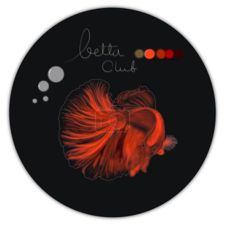 Photo for Half Moon Betta Club Design For Betta Lover. - Royalty Free Image