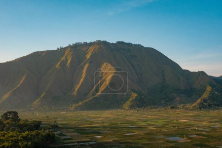 Téléchargez les photos : Du point de vue de Bukit Selong, voici un panorama à couper le souffle s'étendant sur d'interminables rizières, couronnées par des montagnes majestueuses sous un ciel bleu clair. - en image libre de droit