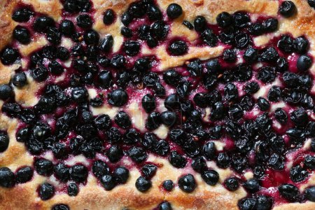 "Schiacciata all' uva", typical Tuscan sweet focaccia with bread dough, olive oil, sugar, black grapes. Italian food. Directly above.