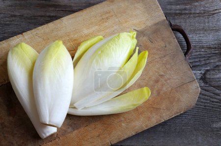 Group of raw endives on a wooden background. Directly above. Copy space.