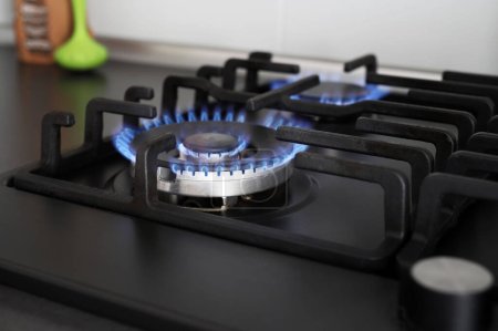 Foto de Primer plano de fuego azul de la cocina con gas propano. Estufa. Crisis del gas. Aumento de precios. - Imagen libre de derechos