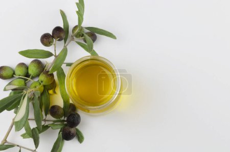 Téléchargez les photos : Olives fraîches et huile d'olive sur fond blanc. Concept de nature et d'aliments sains, sains et naturels. Vue aérienne. Espace de copie. - en image libre de droit
