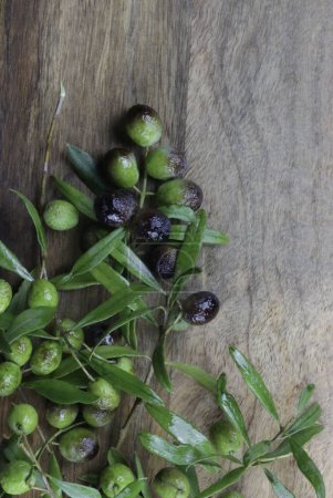 Téléchargez les photos : Branches d'olives fraîches isolées sur table en bois. Vue aérienne. Espace de copie. - en image libre de droit