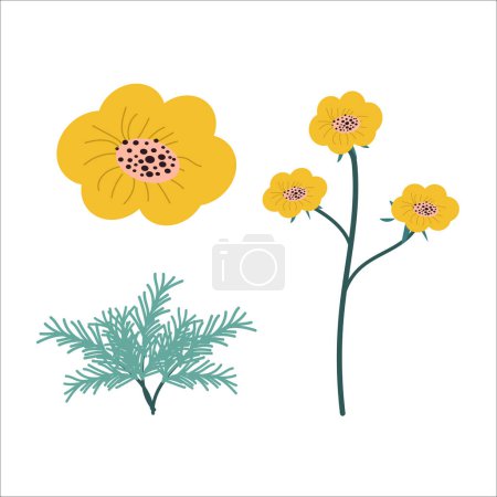 california poppy hand drawn stylized in a set. Vector illustration on white background