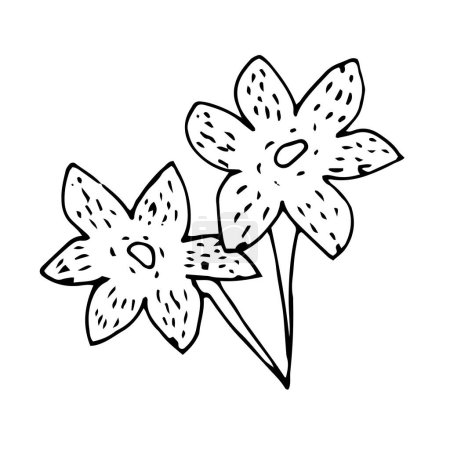 Ilustración de Flores de tabaco de jardín, aisladas con contorno. Ilustración vectorial en un estilo de dibujo a mano - Imagen libre de derechos