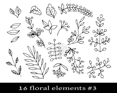 Set of floral autumn elements. Vector illustration outline. Doodles usable for background and backdrop.