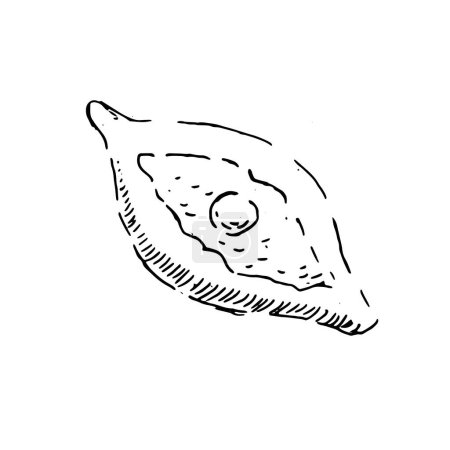 Téléchargez les illustrations : Khachapuri géorgien pain traditionnel avec oeuf. Illustration vectorielle isolée. Croquis vectoriel dessiné à la main, illustration de contour. Cuisine nationale - en licence libre de droit