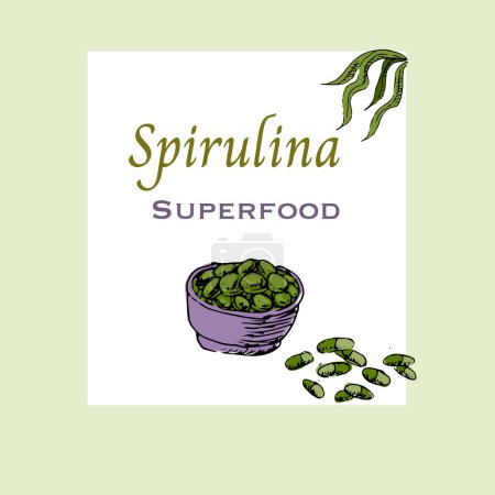 Illustration for Background of spirulina pills - label in hand drawn sketch style. Vector illustration multicolored. Can used for superfood label, flyer, card. - Royalty Free Image