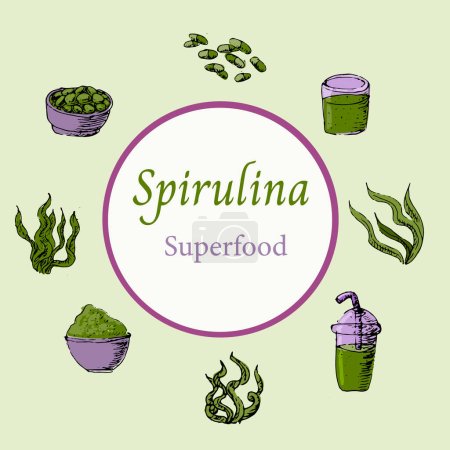 Illustration for Background of spirulina algae in hand drawn sketch style. Vector illustration multicolored. Can used for superfood label, flyer, card. - Royalty Free Image