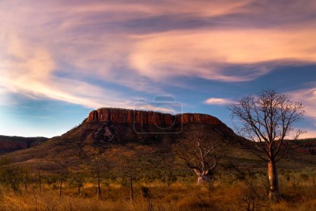Téléchargez les photos : Magnifique senset, chaîne de montagnes El Questro et vergers à Kimberley, Australie Occidentale - en image libre de droit