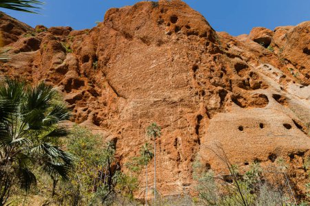 Téléchargez les photos : Vue imprenable sur le gouffre d'Echinda, Bungle Bungles dans le parc national de Purnululu, Australie occidentale - en image libre de droit