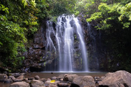 Hermosa Ellinjaa cae en Cairns, Queensland, Australia