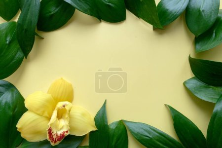 Téléchargez les photos : Cadre de feuille fraîche naturelle avec orchidée sur fond jaune - en image libre de droit