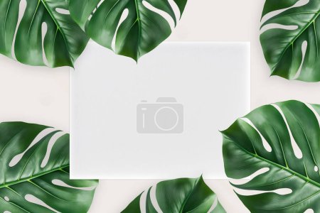 Téléchargez les photos : Modèle vide en papier blanc, feuilles de palmier tropical Monstera sur fond blanc, plan plat, vue sur le dessus - en image libre de droit