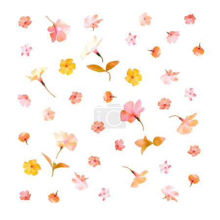 Téléchargez les photos : Motif floral composé de fleurs roses sur fond blanc. Couché à plat, vue de dessus. Fonds printanier - en image libre de droit
