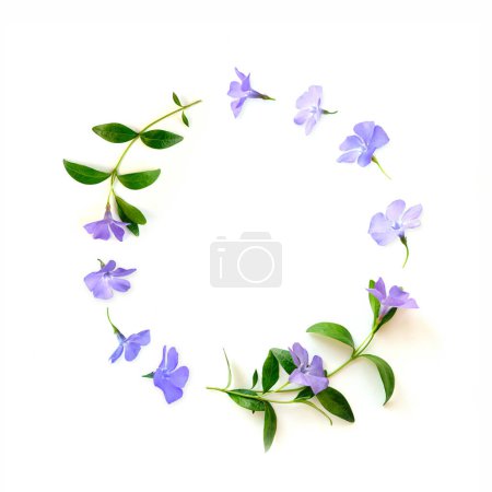 Téléchargez les photos : Cadre floral rond avec boutons floraux bleus, branches et feuilles isolées sur fond blanc. - en image libre de droit