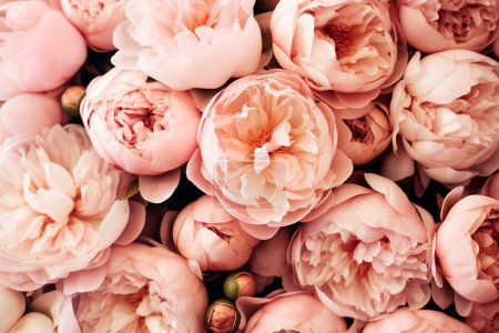 Téléchargez les photos : Bouquet de fond pivoine rose tendre. Texture motif fleurs - en image libre de droit