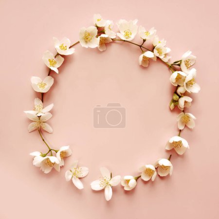 Téléchargez les photos : Cadre de belles fleurs de jasmin sur fond rose, couché à plat. Espace pour le texte - en image libre de droit