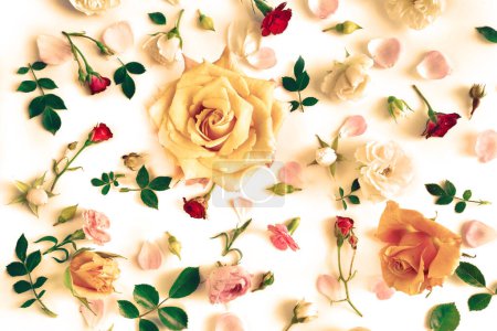 Téléchargez les photos : Vintage motif floral composé de roses, feuilles vertes, branches sur fond blanc. Couché à plat, vue de dessus. Texture motif fleurs - en image libre de droit