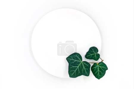 Téléchargez les photos : Vue du dessus du podium rond blanc avec les feuilles vertes d'une plante de lierre. - en image libre de droit