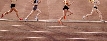 Foto de Cuatro atletas mujeres corredores de carrera de media distancia, campeonatos de atletismo de verano - Imagen libre de derechos